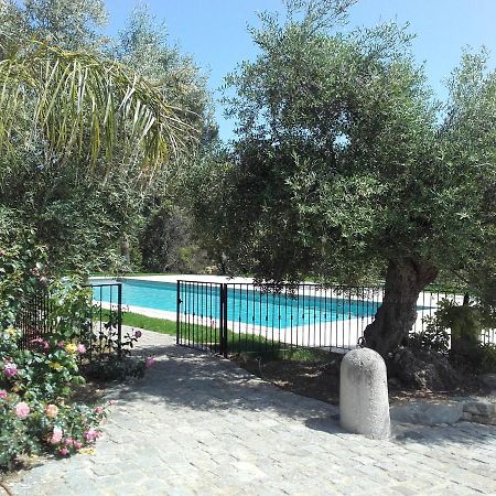 La Bastide De L'Oliveraie Le Castellet  Zewnętrze zdjęcie