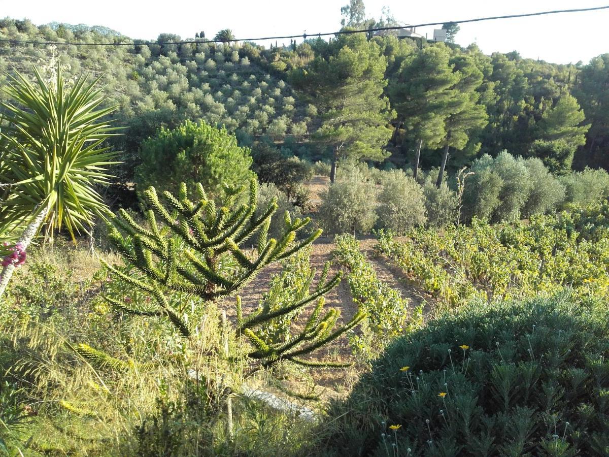 La Bastide De L'Oliveraie Le Castellet  Zewnętrze zdjęcie