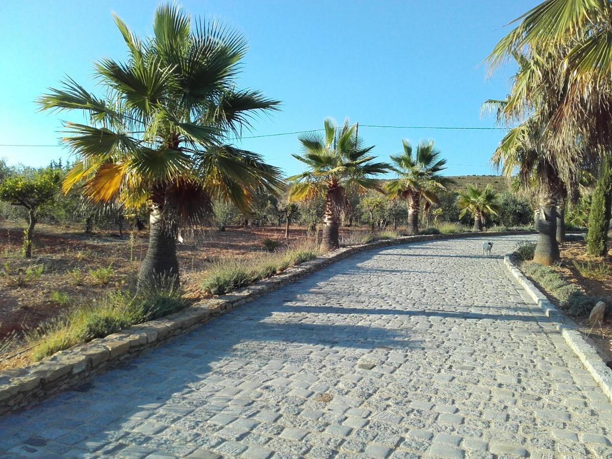La Bastide De L'Oliveraie Le Castellet  Zewnętrze zdjęcie